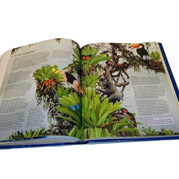 The Kingfisher A-Z Encyclopedia UP-TO-THE-MINUTE Information Book - Picture 11 of 13
